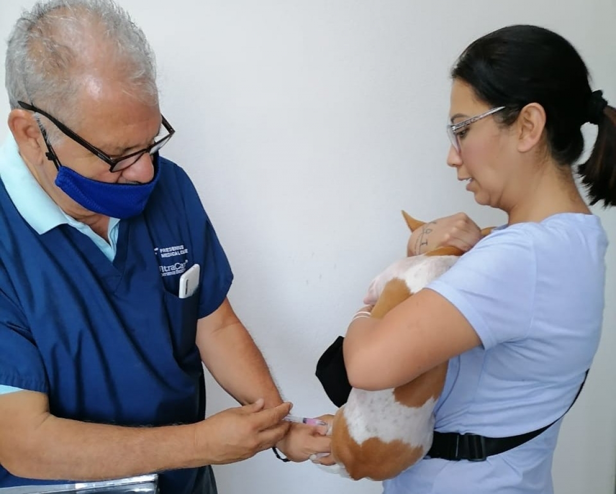 Adiestran a 'Tomasa', can de compañía ganador de concurso