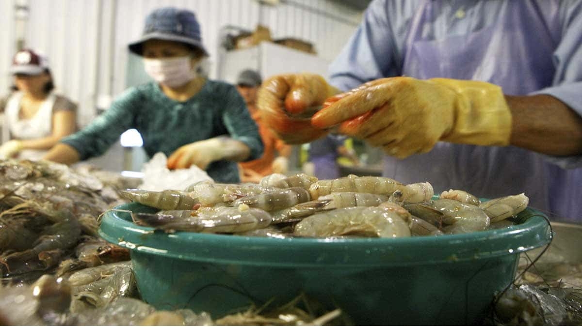 México pide a Estados Unidos quitar embargo para exportar camarón mexicano