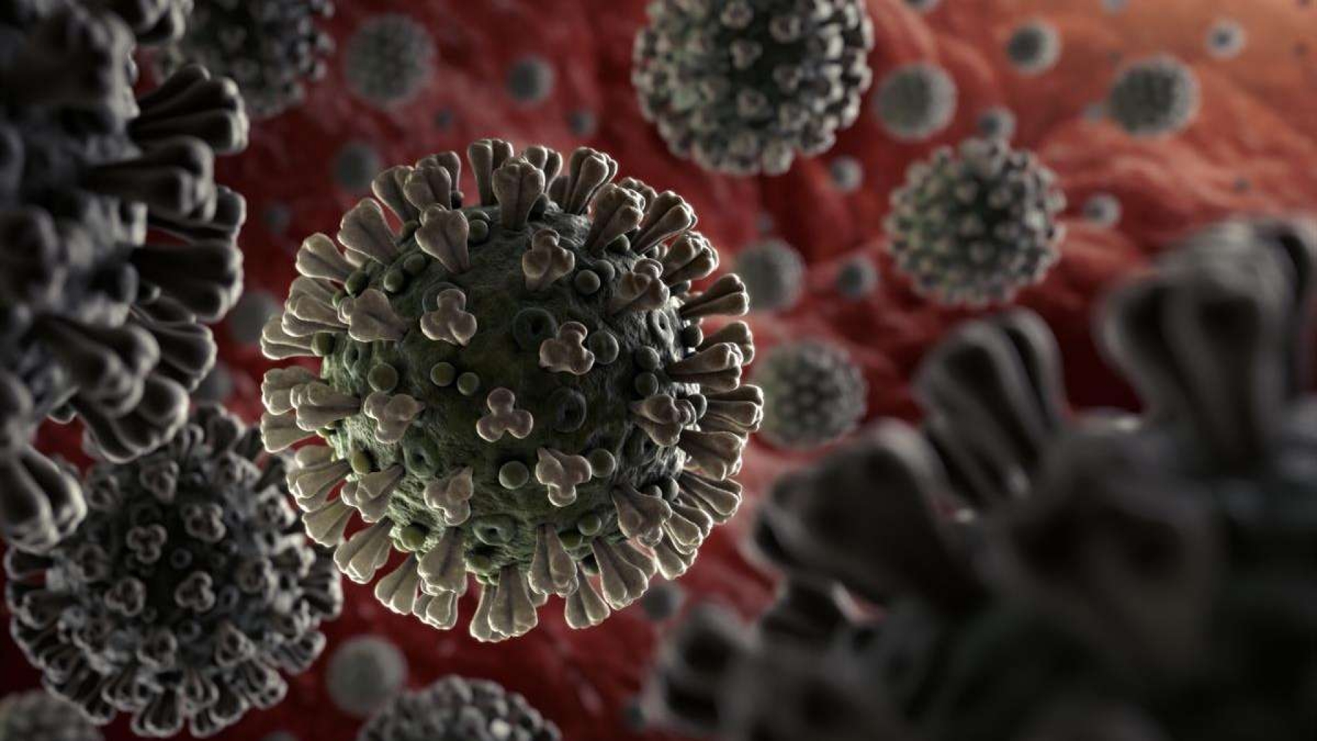Detectan nueva cepa del coronavirus que es la más contagiosa