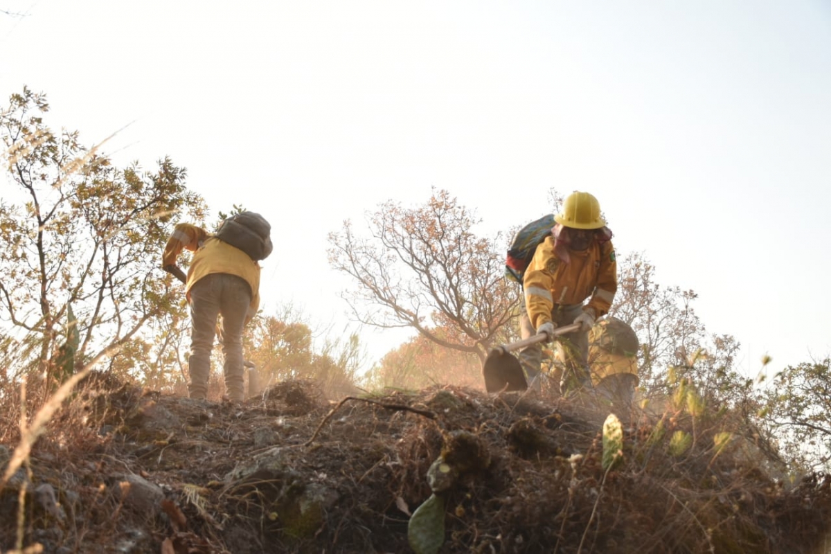 Se mantiene el 20% de control en incendio forestal en paraje 'Malinalapa': EEMI
