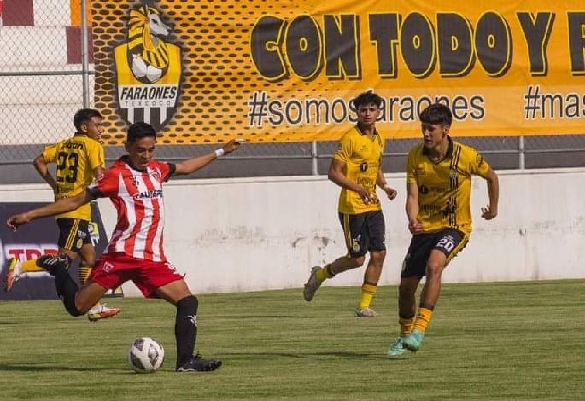 Tigres de Yautepec buscará sellar su pase en casa