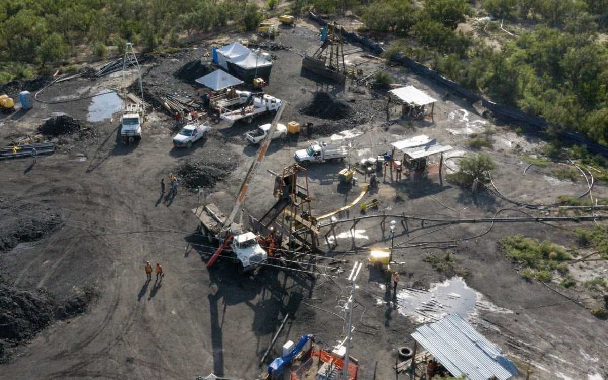 Vinculan a proceso a detenido por explotación ilegal de 'El Pinabete'