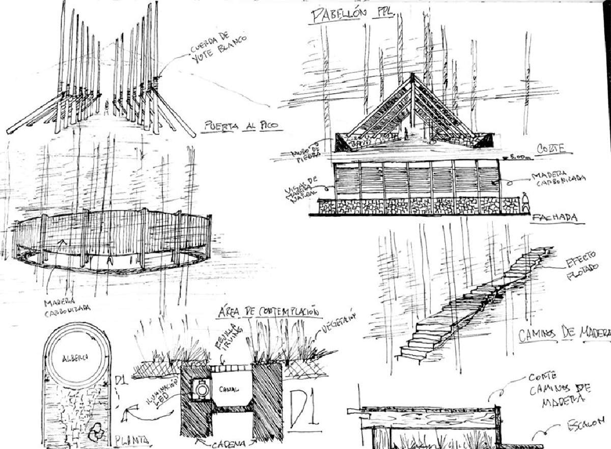 Estudios del proceso proyectual
