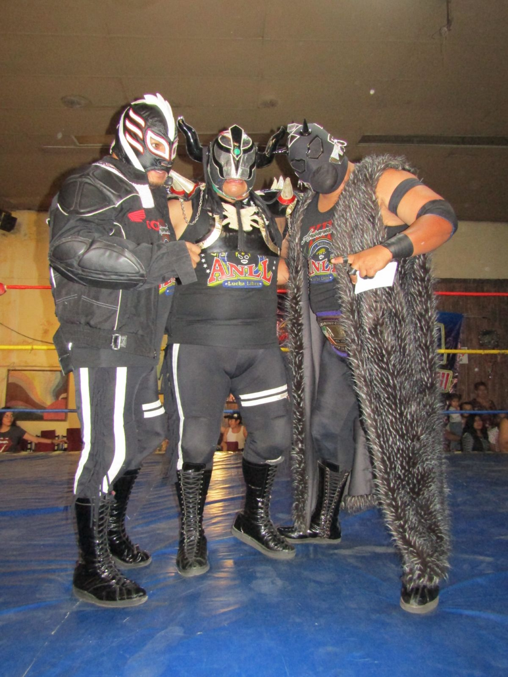 Hoy gran cierre de temporada de la Alianza Nacional de Lucha Libre