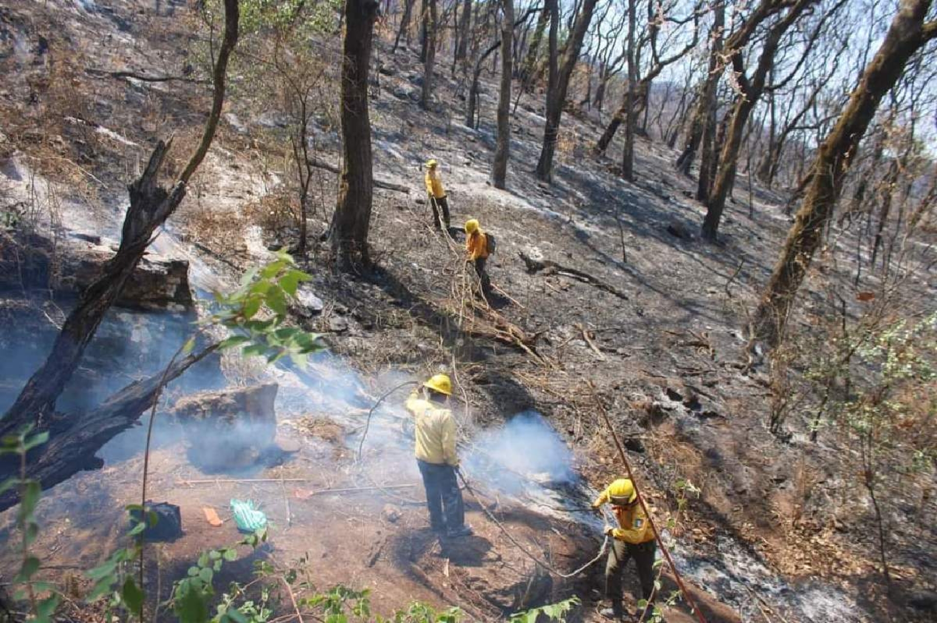 Sofocan incendio forestal ocurrido en Tilzapotla