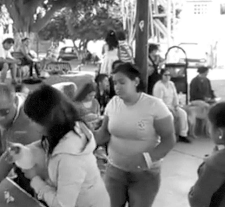 Realizan campaña de esterilización de perros y gatos en Cuautla
