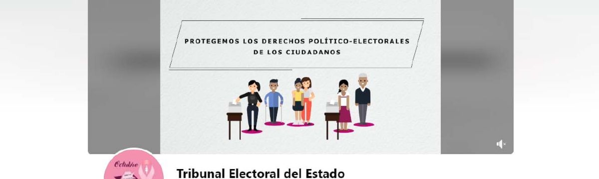 Impepac debe regular notificaciones electrónicas
