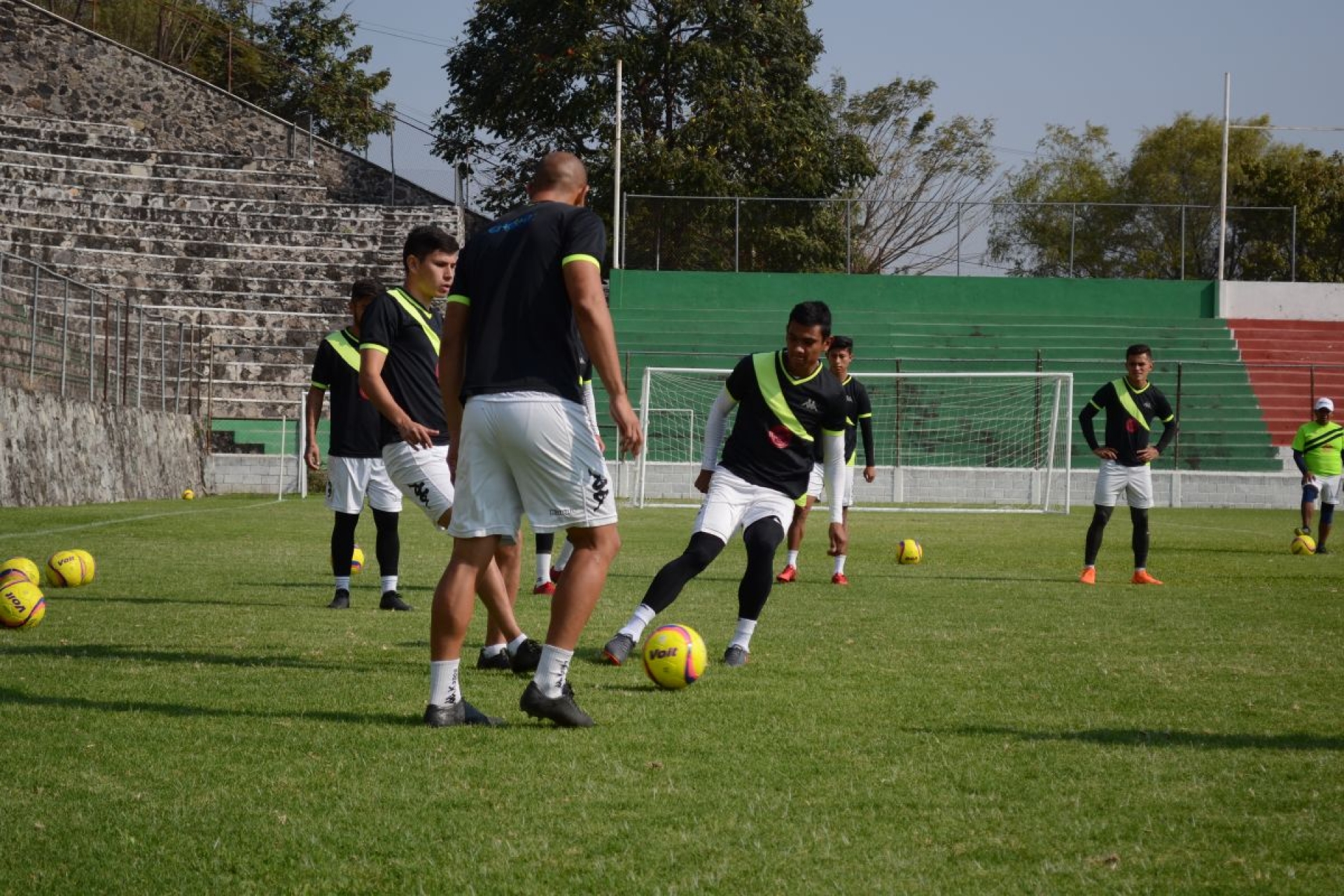 A domar a la fiera