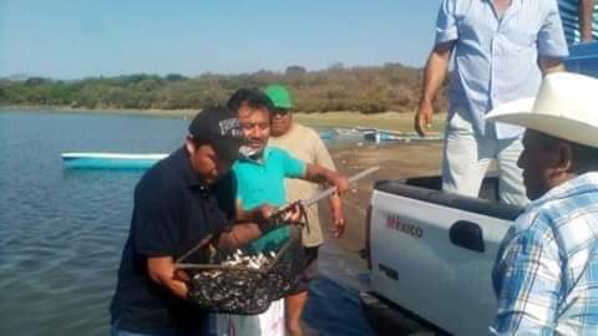 Tilapia de Coatetelco y El Rodeo, de buena calidad: CESAEM 