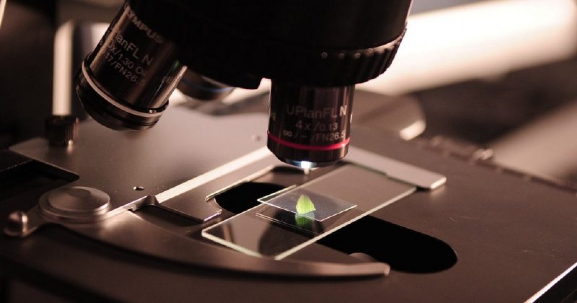 Sobre los hombros de gigantes: Los alcances y aplicaciones de la Ciencia