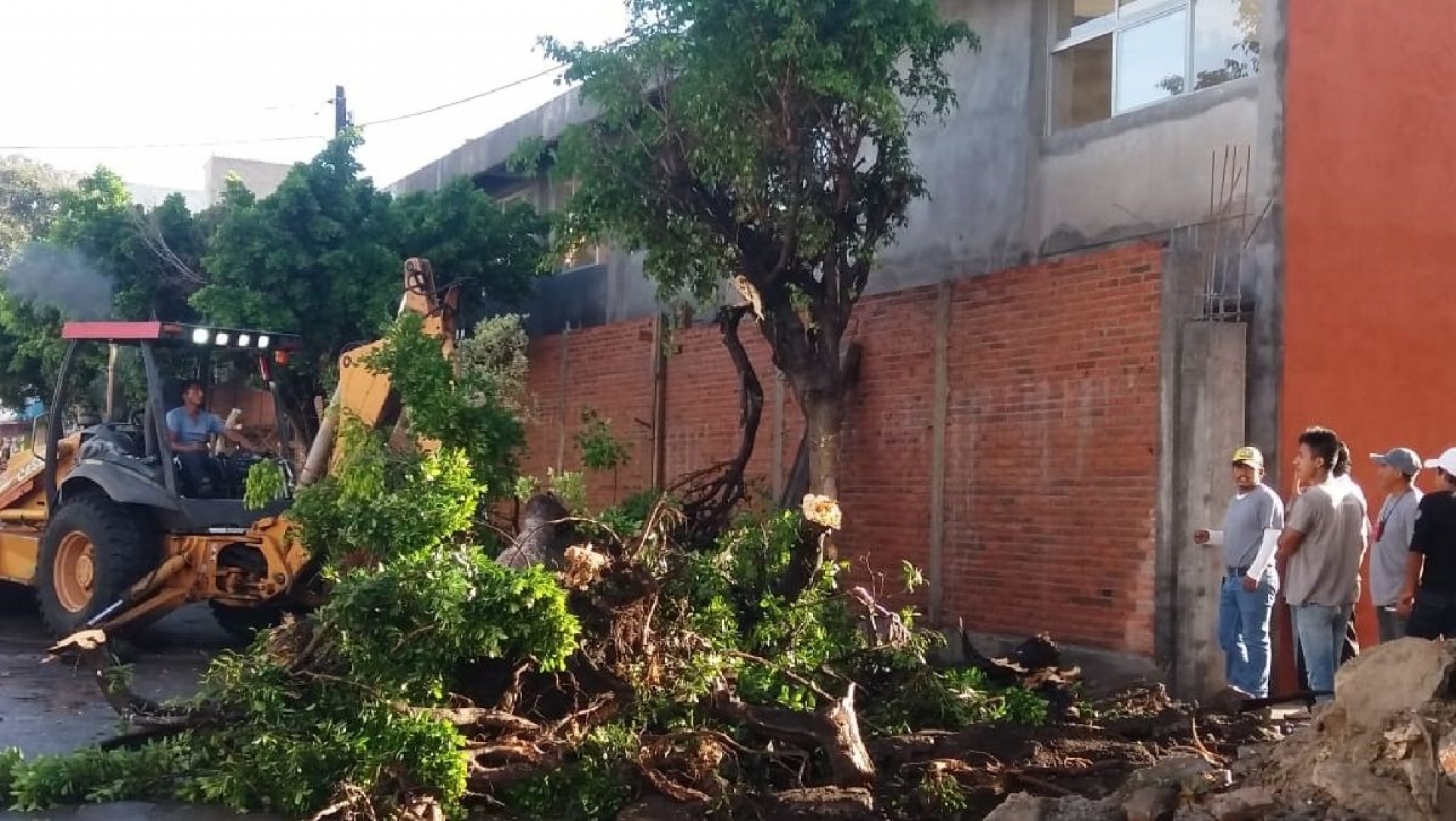 Tala de árboles confronta a vecinos en Cuautla
