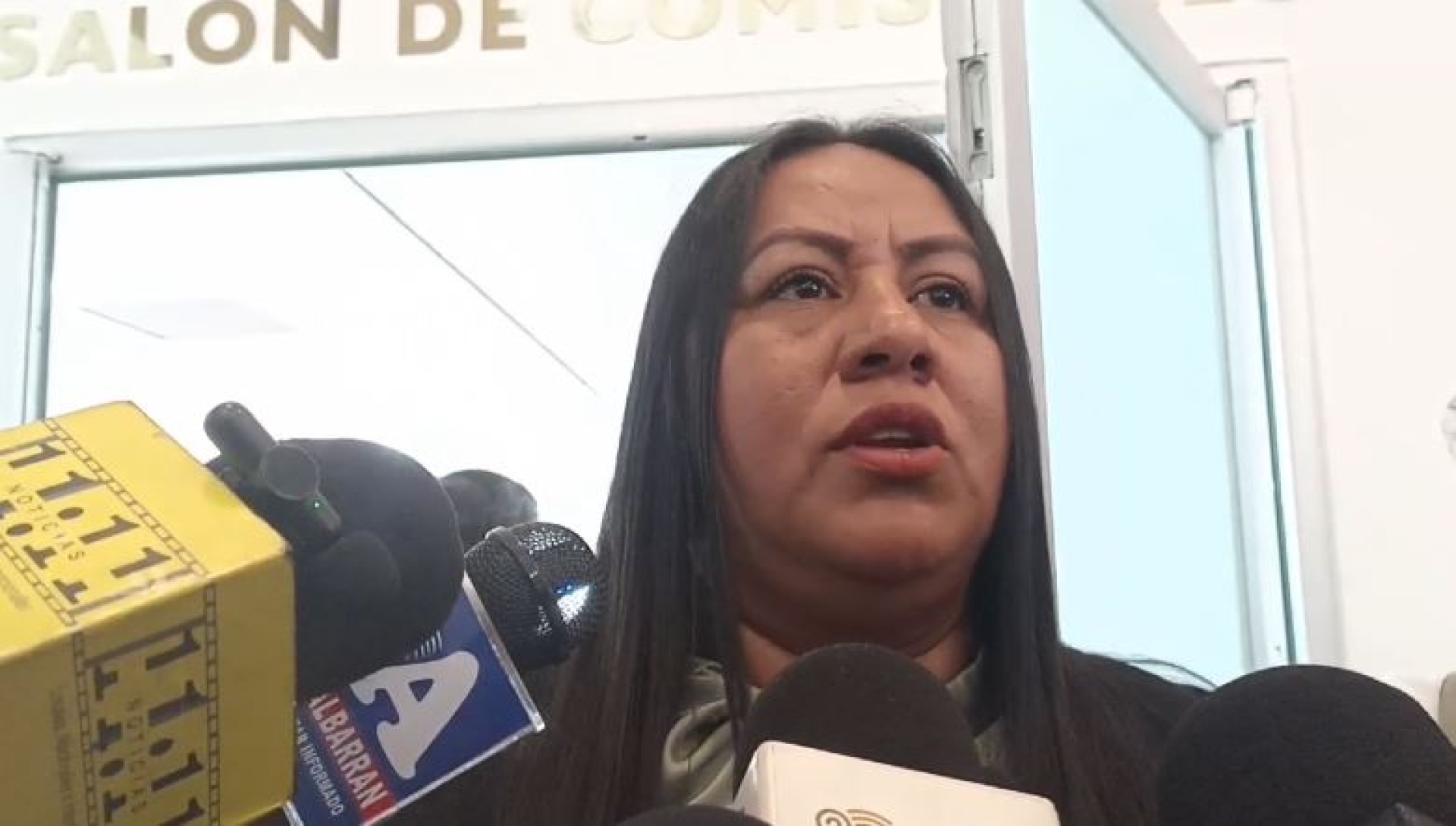 Se alcanzarán consensos para presupuesto: Jazmín Solano