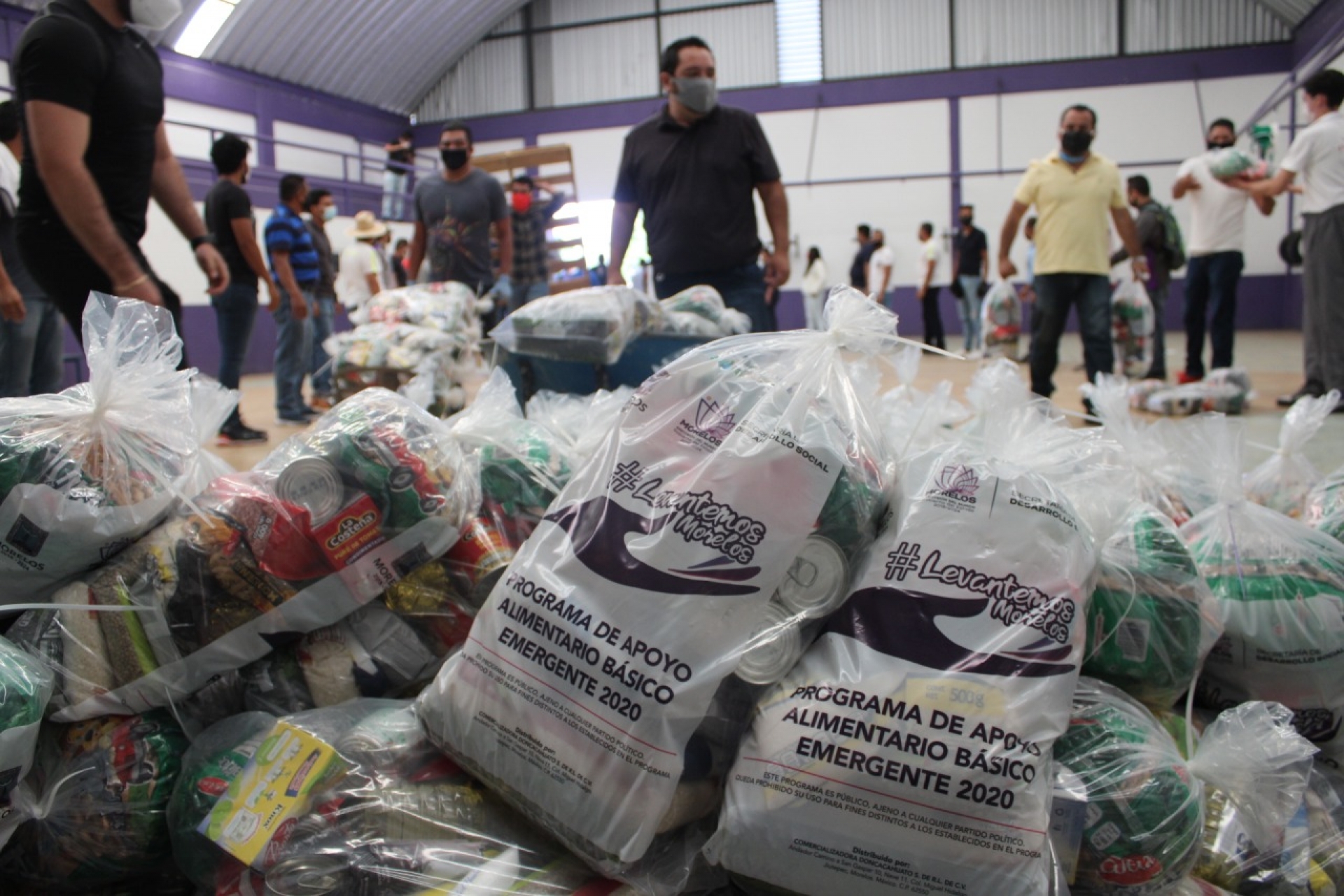 Programa de Apoyo Alimentario Básico Emergente es una realidad: Sedeso