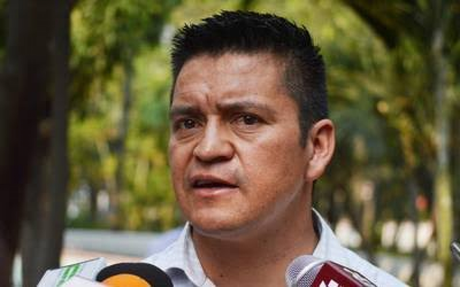 Ulises Pardo, ineptitud