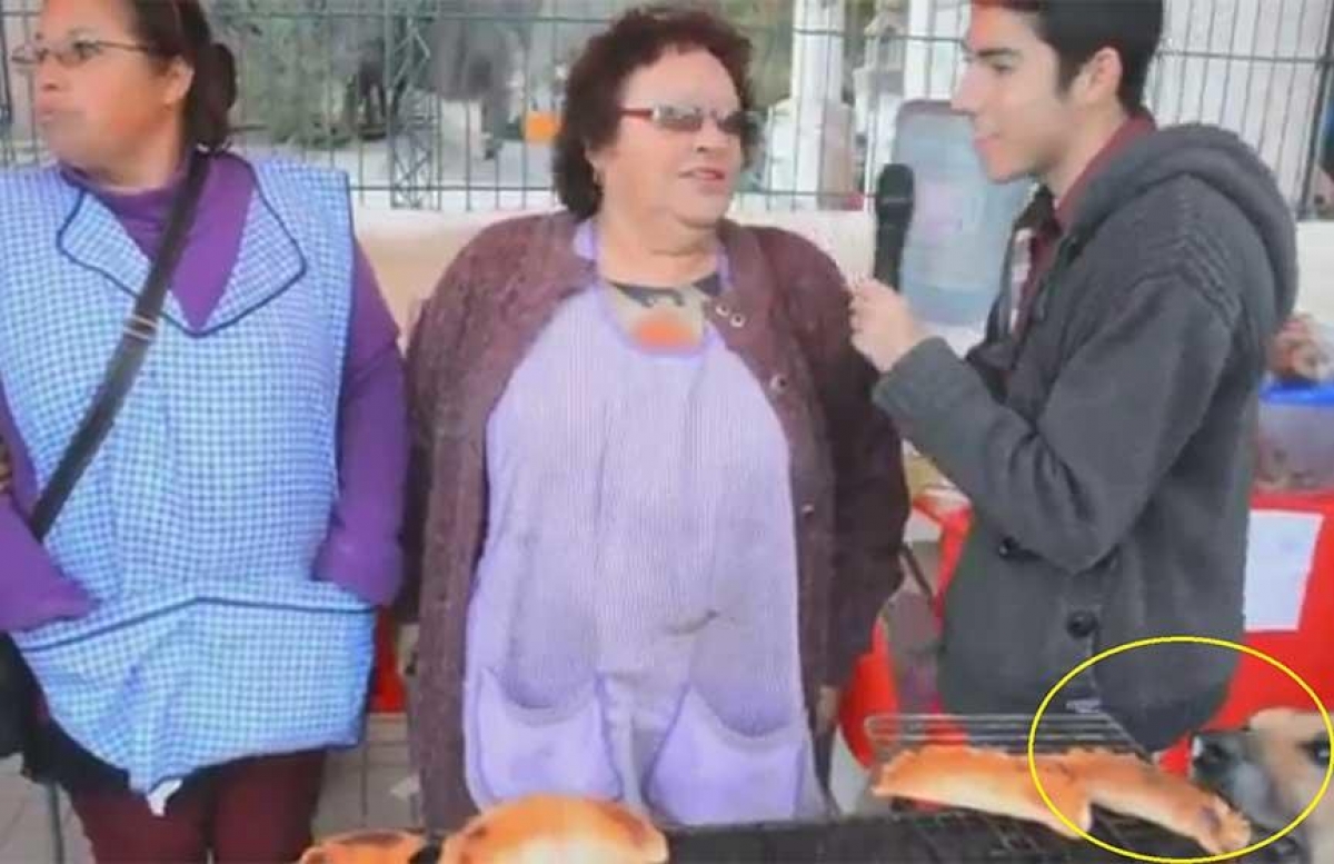VIDEO: ¡Ahora es cuando! perrito se roba una empanada y se vuelve viral