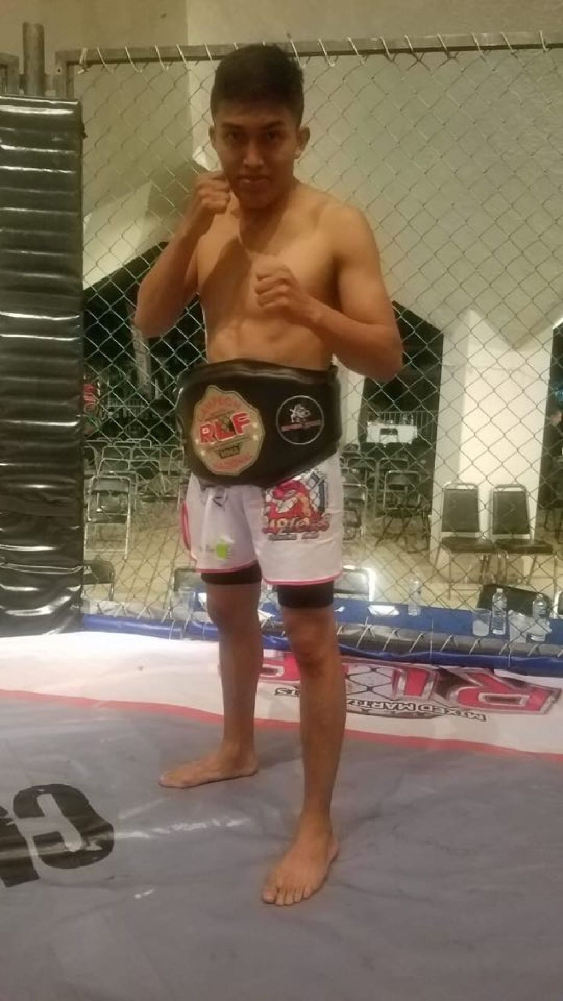 Guerreros del octágono