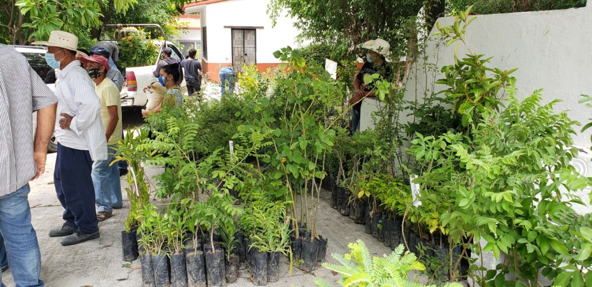 Buscan crear cercos vivos en zonas ejidales de Jojutla