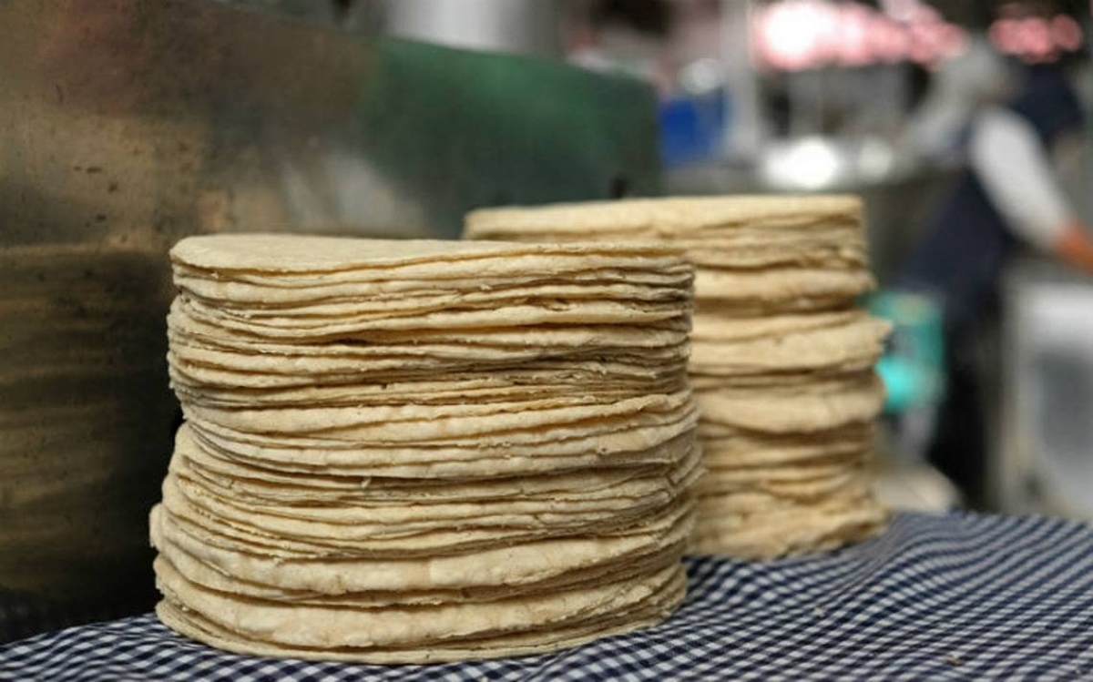 ¿Tortillas pirata? Aquí te decimos cómo puedes identificarlas