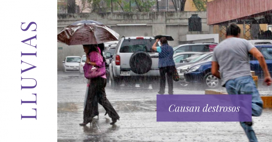 Dejan las lluvias encharcamientos, inundaciones y caída de árboles en Cuernavaca