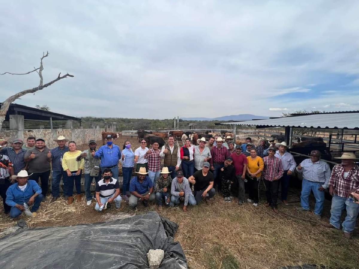 Entregan 88 novillas a productores de Tehuixtla