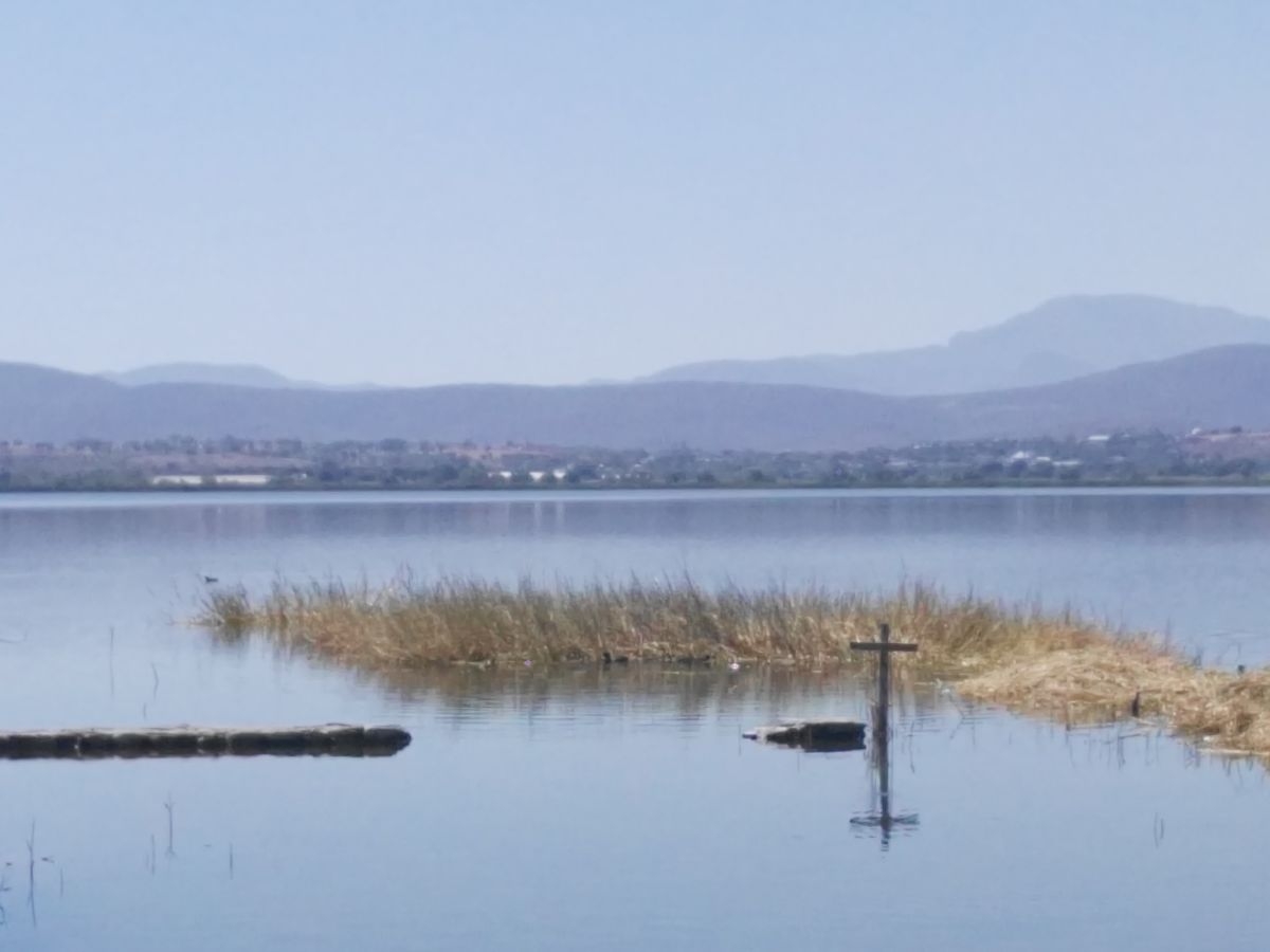 Piden pescadores intervención de Conagua ante intento de desaguar laguna de Coatetelco