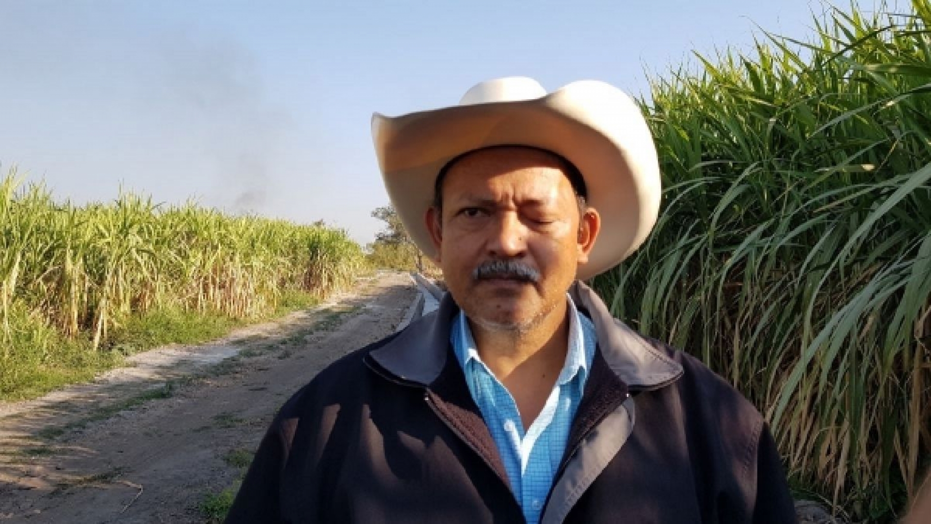 En riesgo, los cultivos por taponamiento de canales de riego