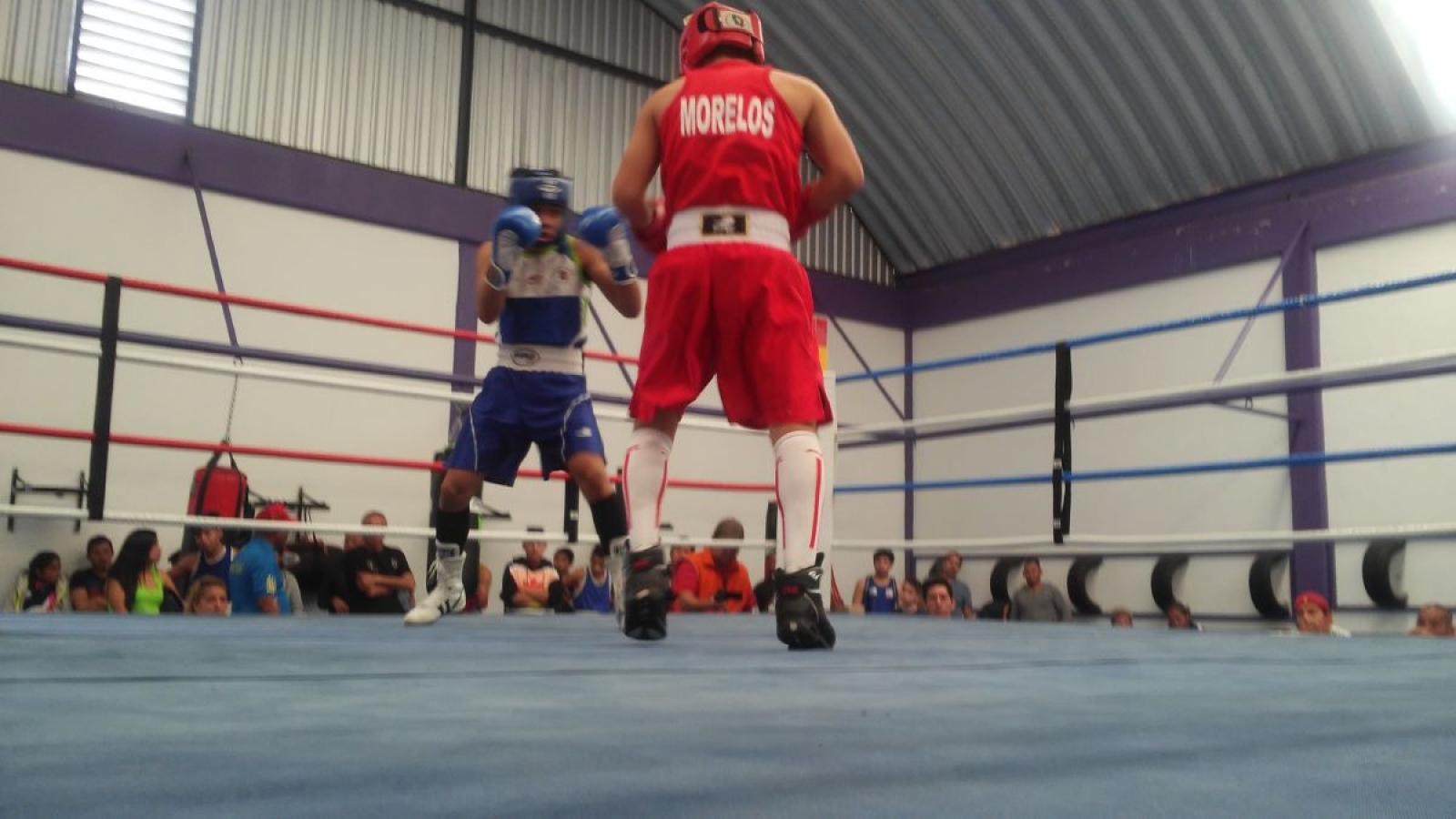 Boxeadores se alistan para regional de Olimpiada Nacional