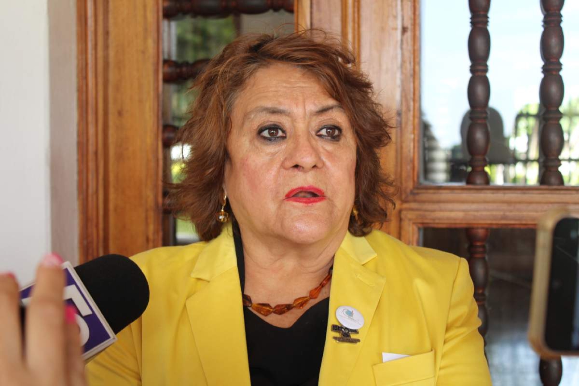 No hay diagnóstico efectivo de dengue