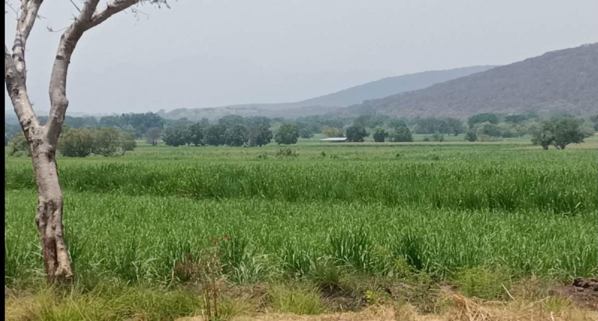 Falta infraestructura para enfrentar escasez de agua en el campo del surponiente