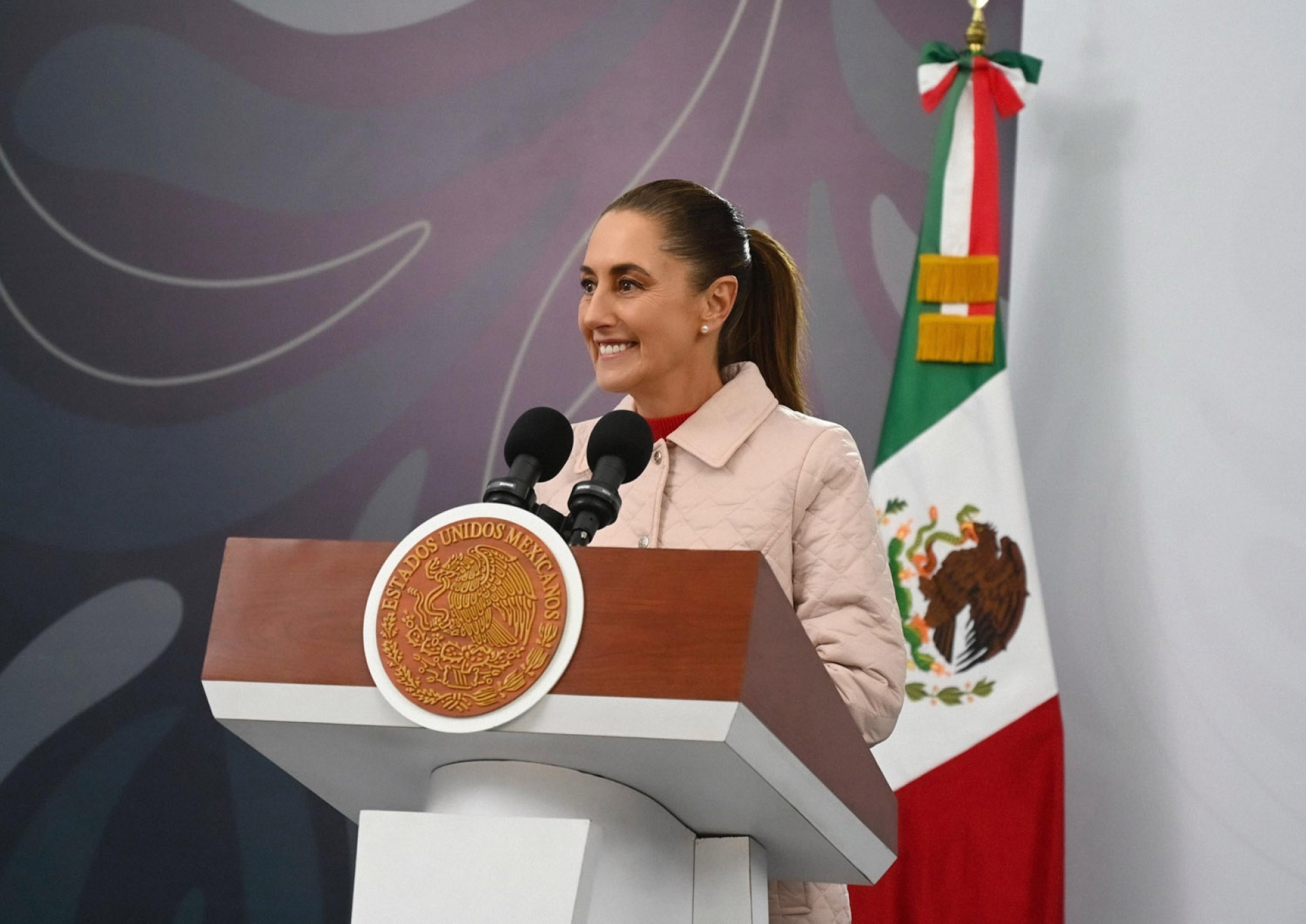 Sheinbaum afirma que ningún partido ‘puede ser paraguas para delinquir’