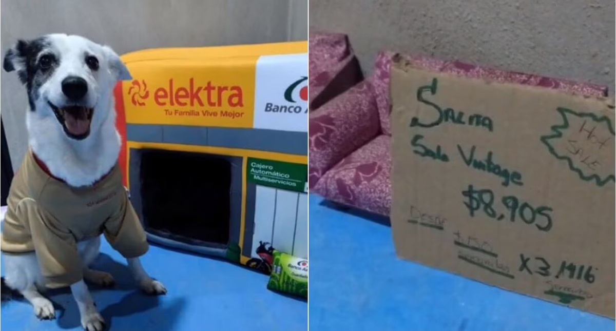 Refugio crea camitas 'Elektra' y revoluciona las redes