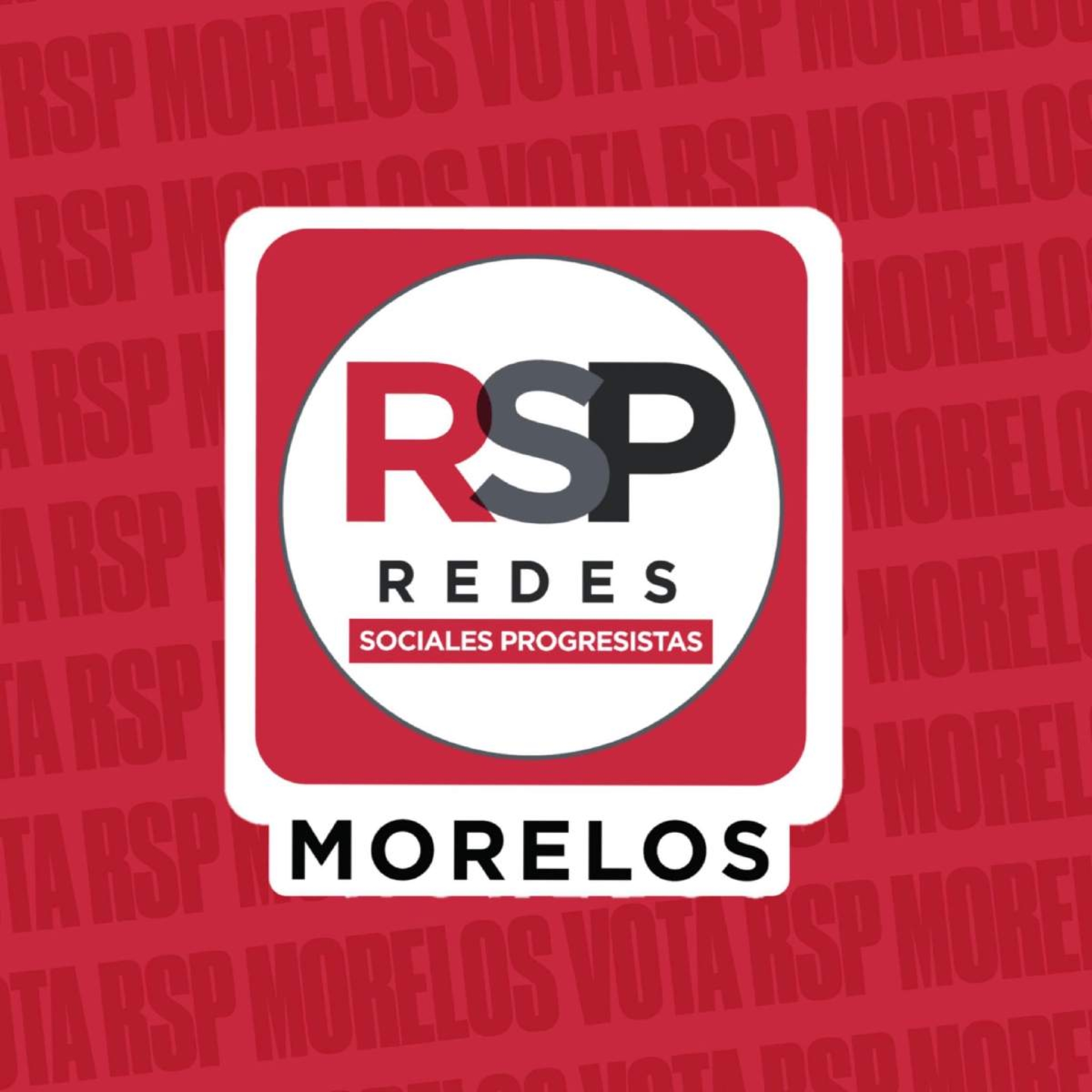 Definirán futuro de Redes Sociales Progresistas