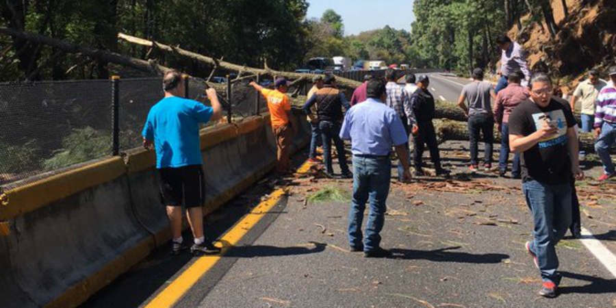 Caída de árbol en la autopista México-Cuernavaca ocasionó cortes intermitentes de circulación