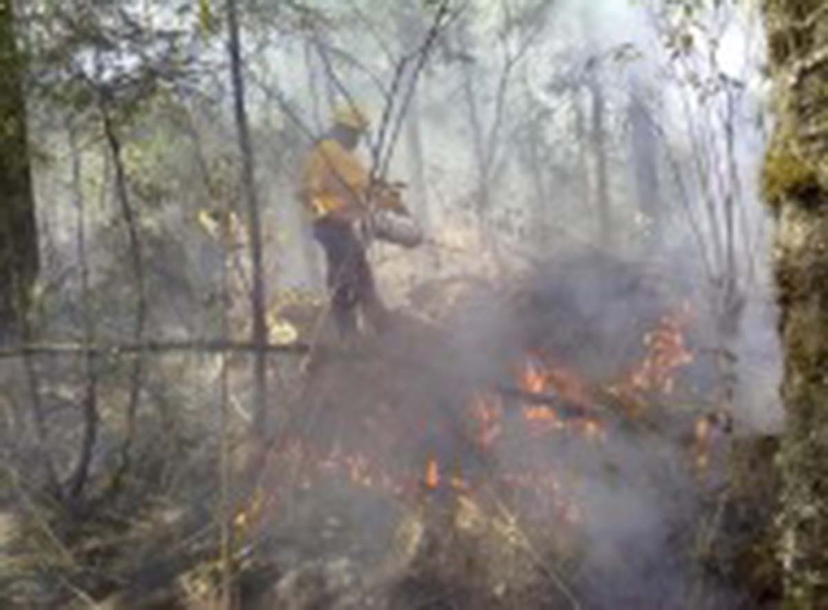 Desplegarán operativo para prevenir incendios forestales durante el puente vacacional