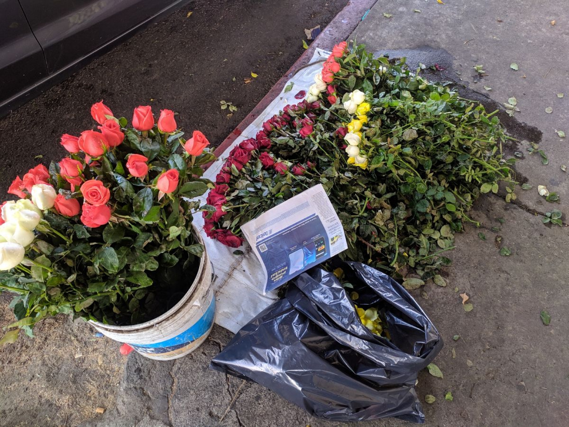Sigue baja la venta de rosas