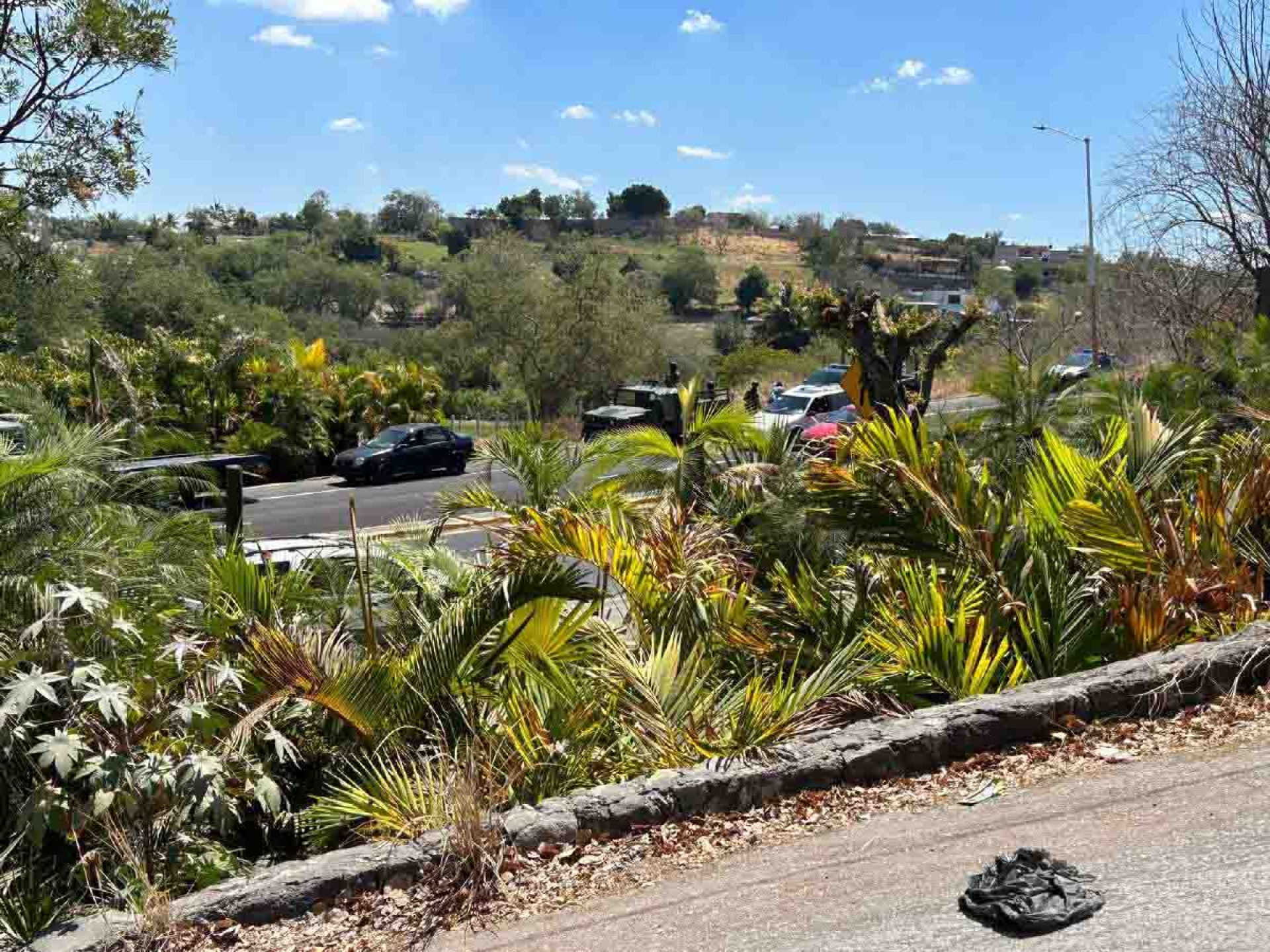 Asesinan a un viverista en Xochitepec