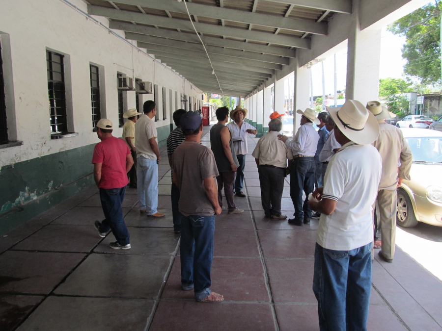 Nuevamente exigen cañeros pago de liquidaciones