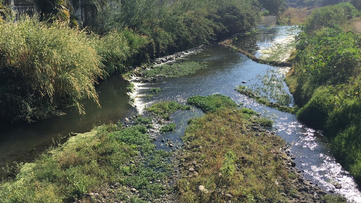 Productores de berro invaden el río Cuautla