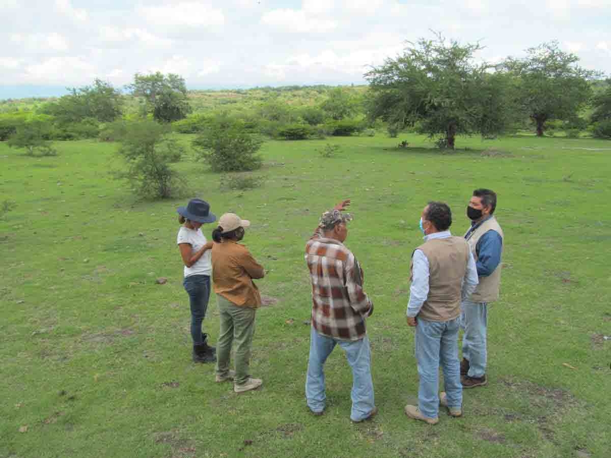 Latente, riesgo de edificación de viviendas en el Cerro de la Tortuga