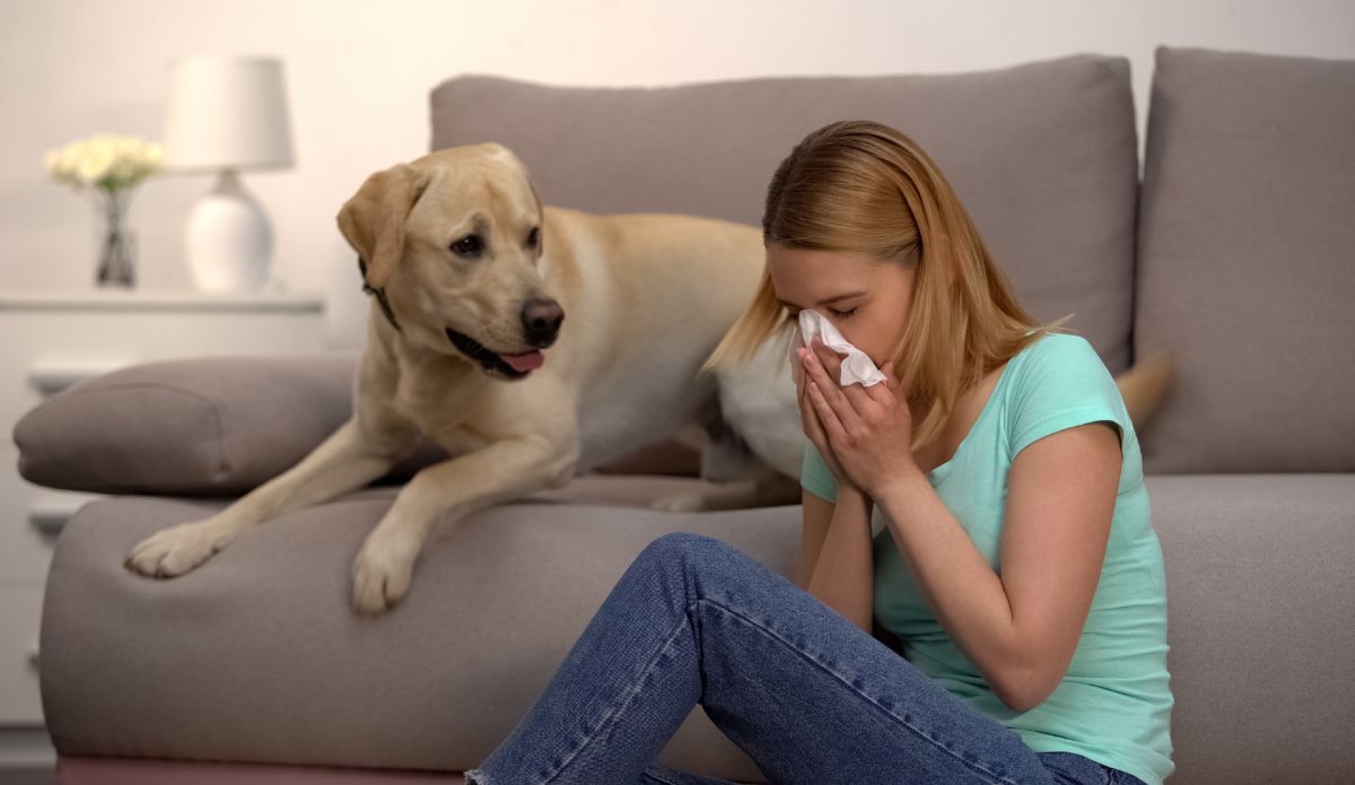 Cómo convivir con mascotas si eres alérgico sin afectar tu salud