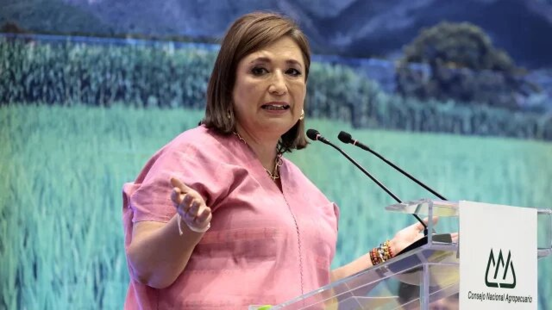 INE prohíbe a Xóchitl Gálvez llamar 'narcopartido' a Morena