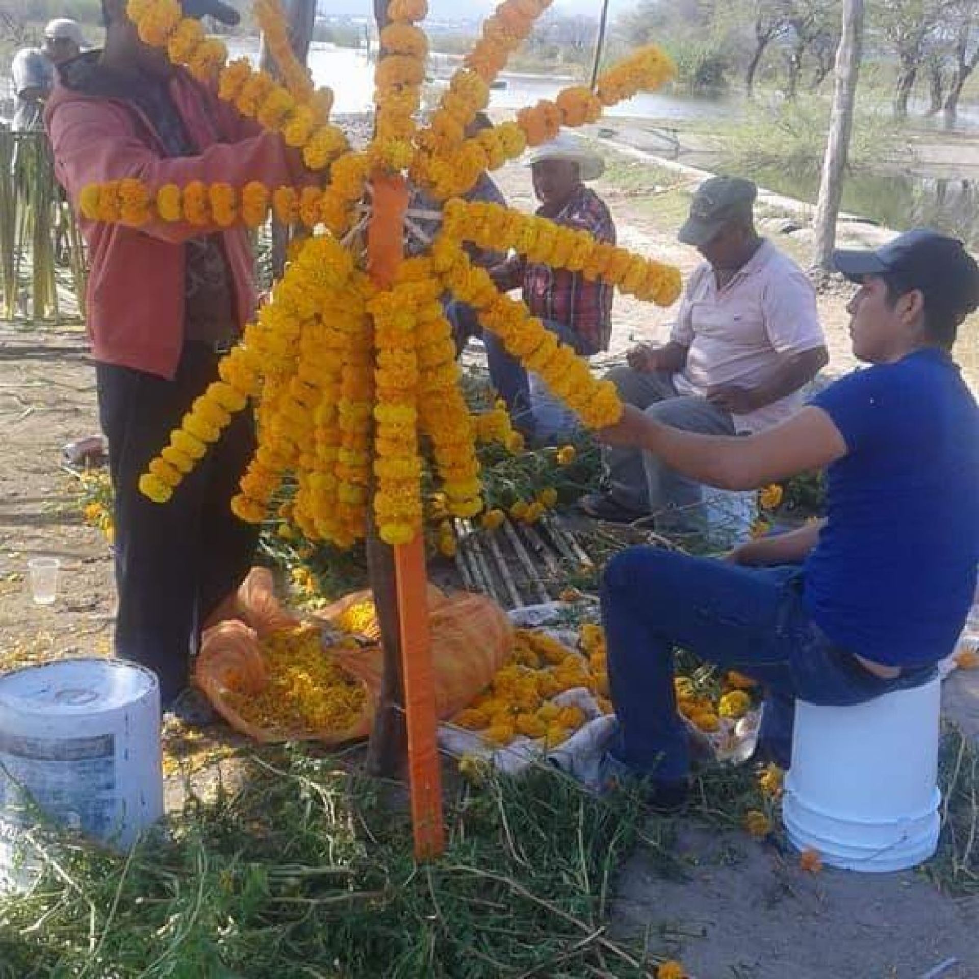 Cambian de sede la Feria del Pescado de Coatetelco
