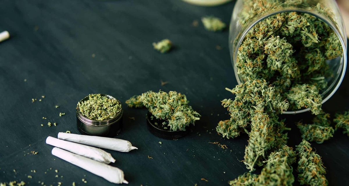 Suprema Corte avala la legalización del uso lúdico de la marihuana
