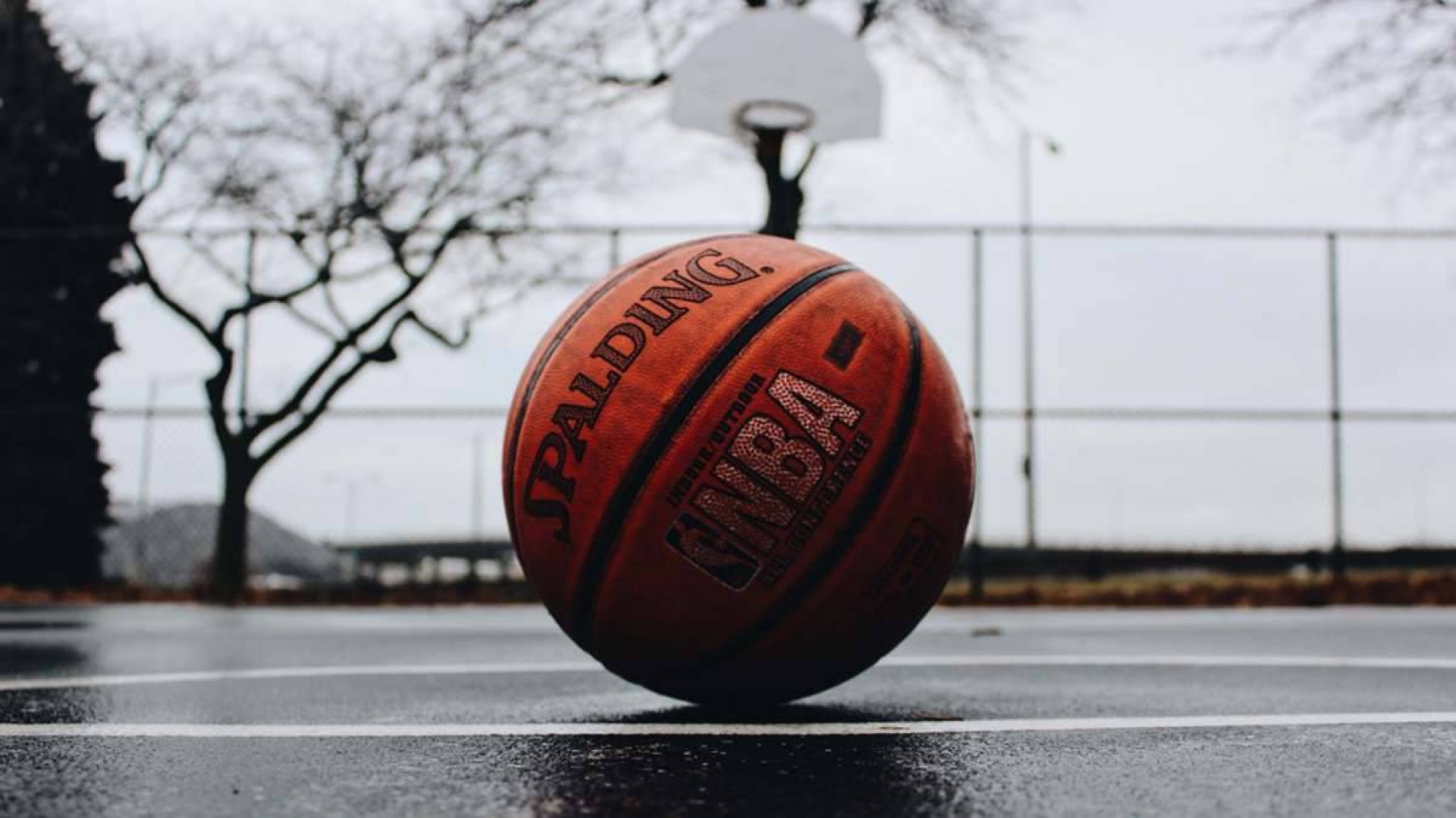 Reanudad actividades deportivas en Tetecala