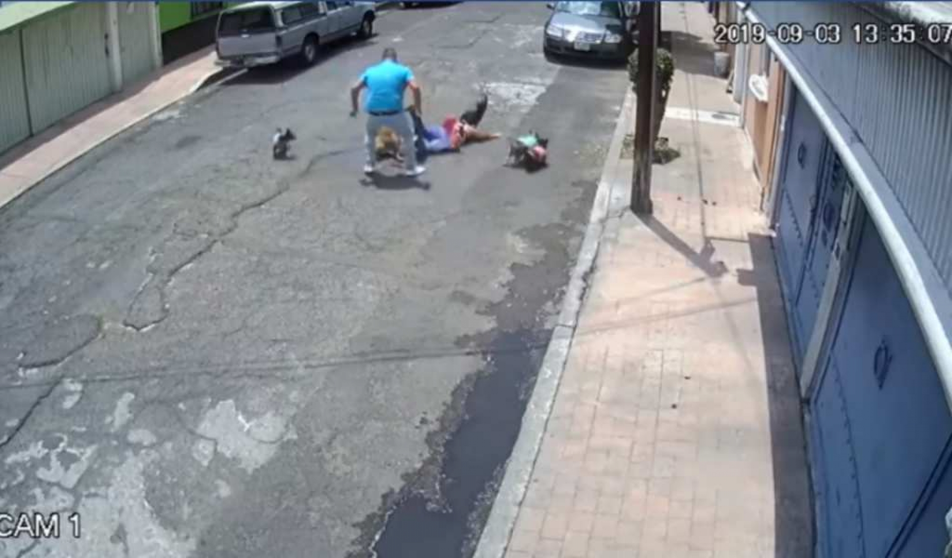 Hombre 'taclea' a mujer por pelea entre perros (VIDEO)
