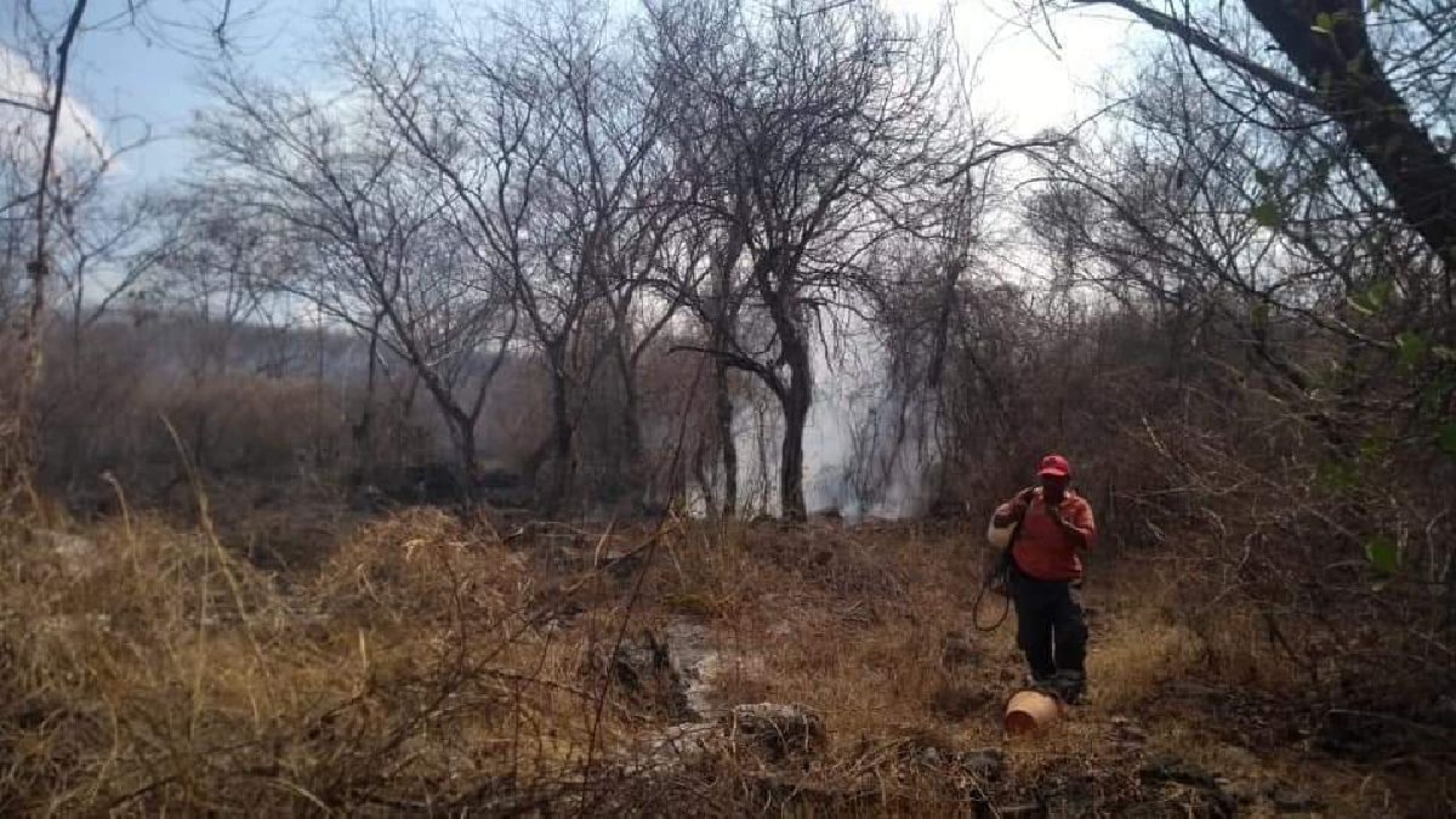 Siguen los incendios forestales en el corredor poniente