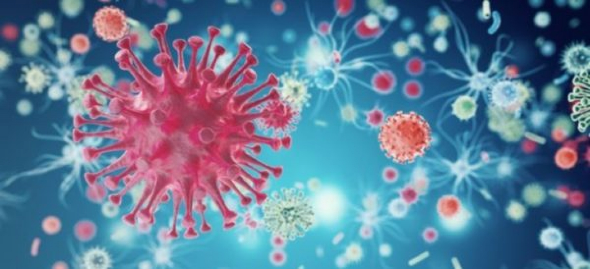 Tratamiento con células madres, la solución que podría erradicar el VIH