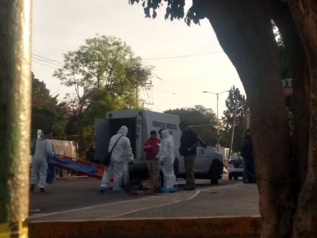 Murió al ser atropellada por una Ruta 7 en Ahuatepec