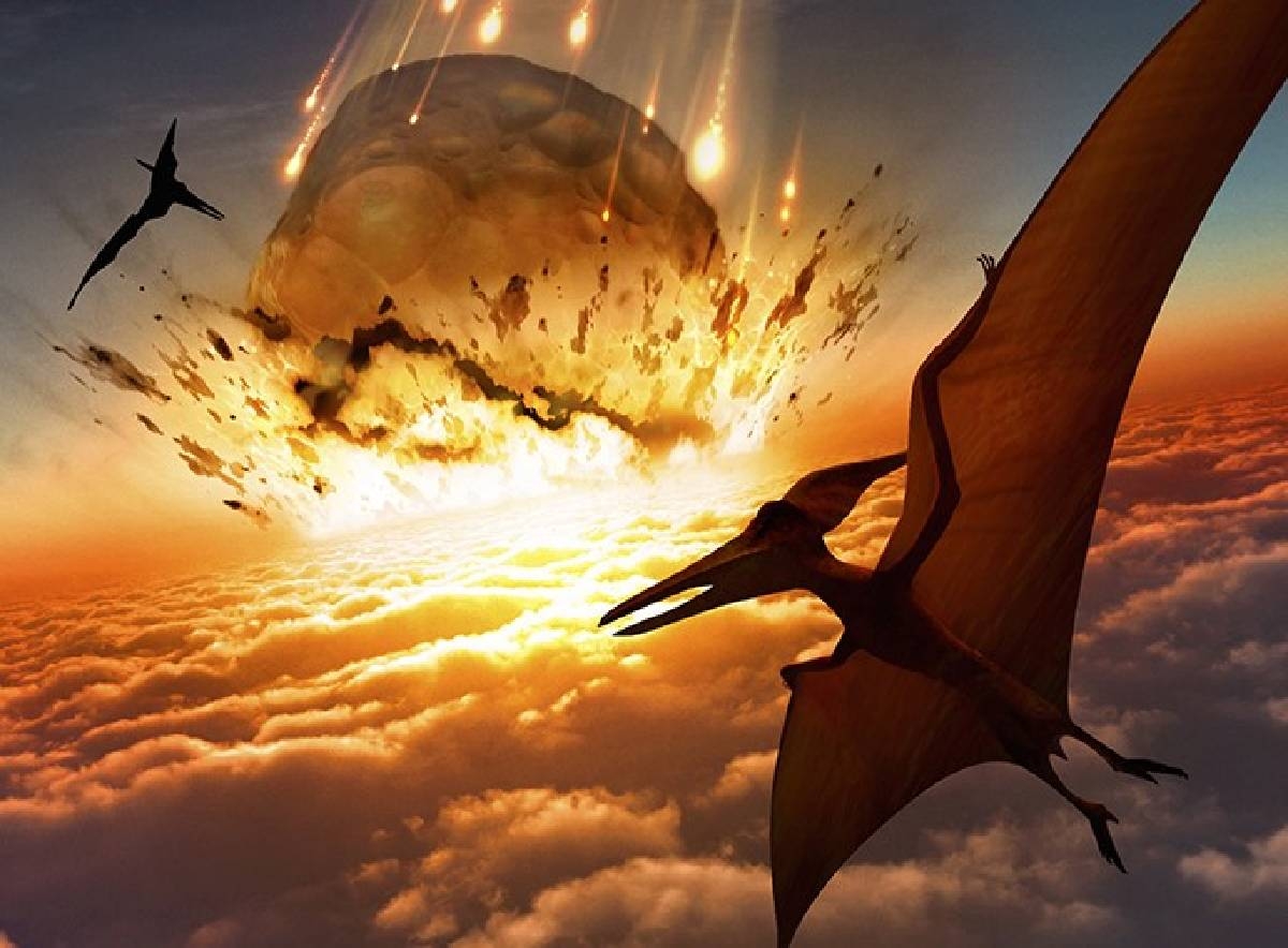 Los dinosaurios tomaron el liderazgo en medio del hielo, no del calor, dice un nuevo estudio sobre la extinción masiva en tiempos muy remotos