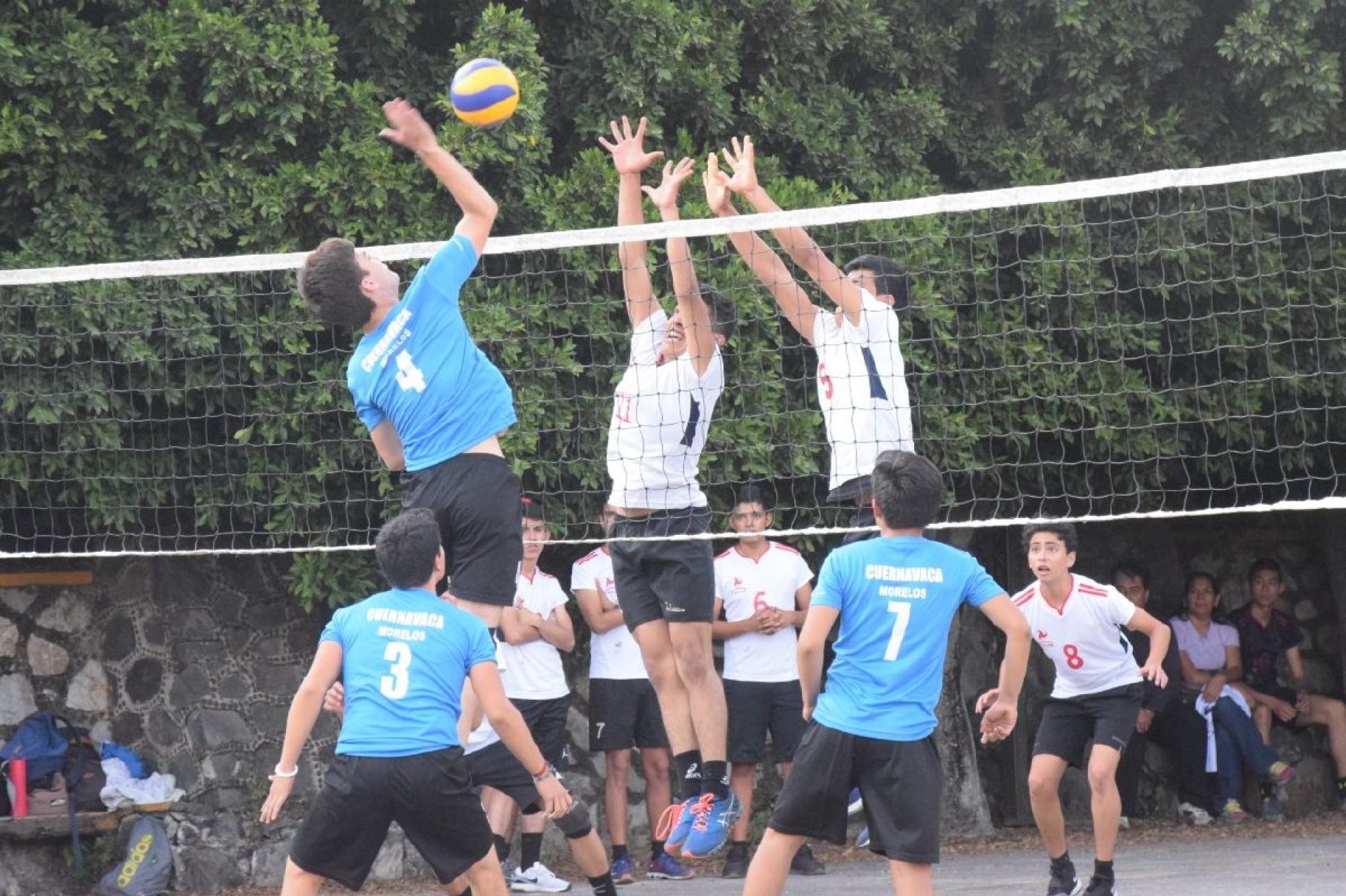 Fénix y Troyanas Rousseau, duelo atractivo en la Jornada 4 de la Liga Estudiantil de Voleibol